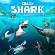 Crazy Shark