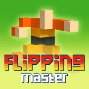 Flipping Master