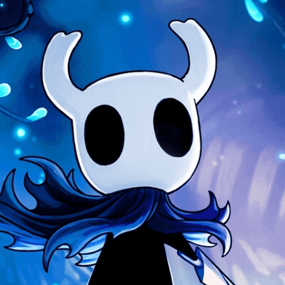 hollow knight