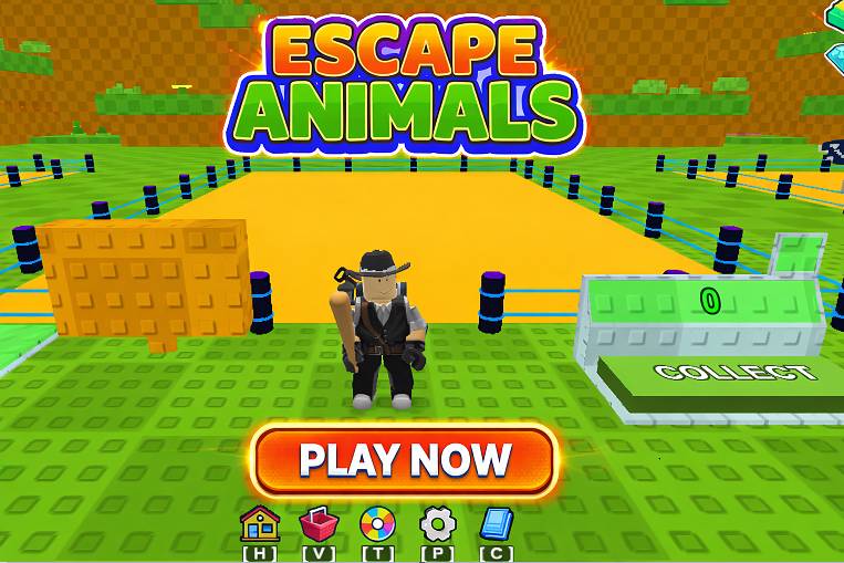 How to Play Escape Animals