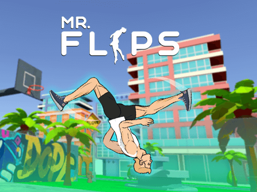 Mr Flips